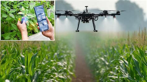 WEF says AI, robotics, nanotech to transform agriculture; cites case ...