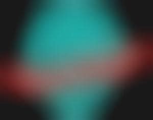 Book-Based Online Communities : book lover