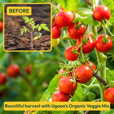Organic Veggie Mix: Nutrient-Rich Soil Blend for Thriving Vegetables ...