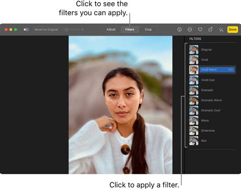 Use a filter to change a photo’s look in Photos on Mac - Apple Support (IN)