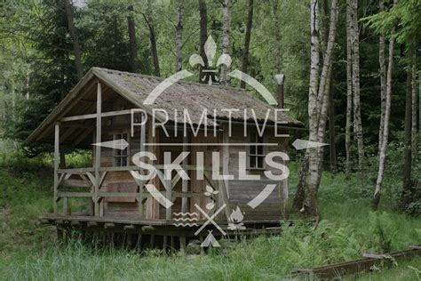 Primitive Building Skills 的图像结果