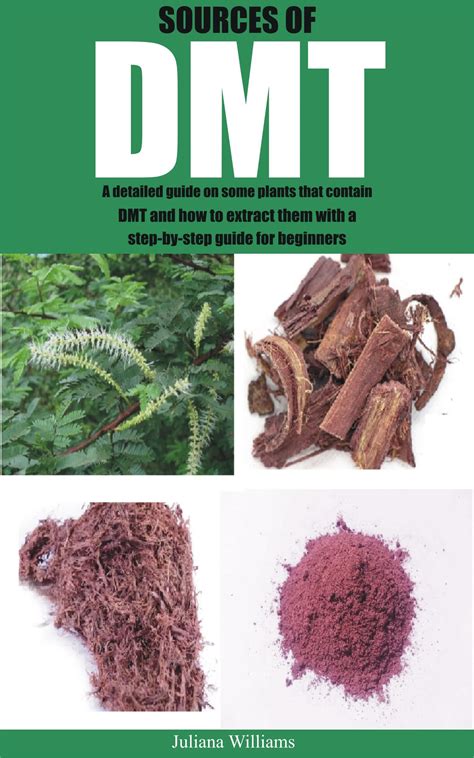 Where Does Dmt Come From