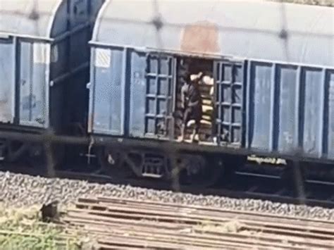 Surat Grain Theft Scam: Goods Train Bogie Looted Near Uttarana Railway ...