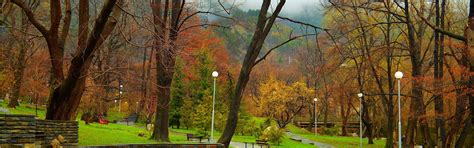 Download wallpaper Spring, Trees, Park, Park, Spring, Trees, March ...