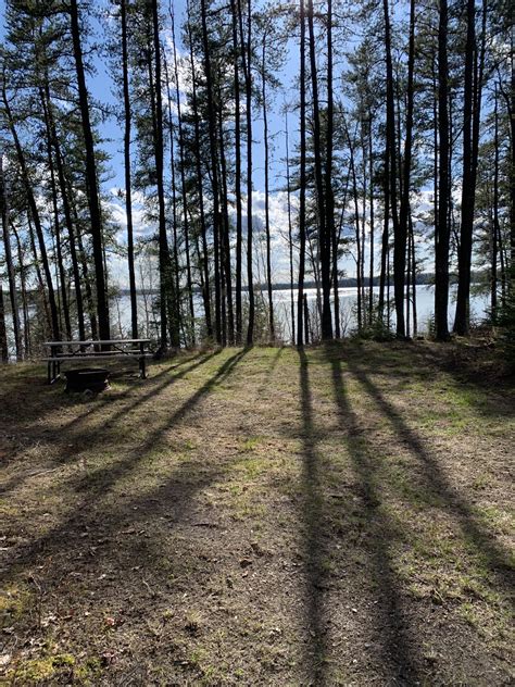 Campsites - Wild Goose Lake Campground