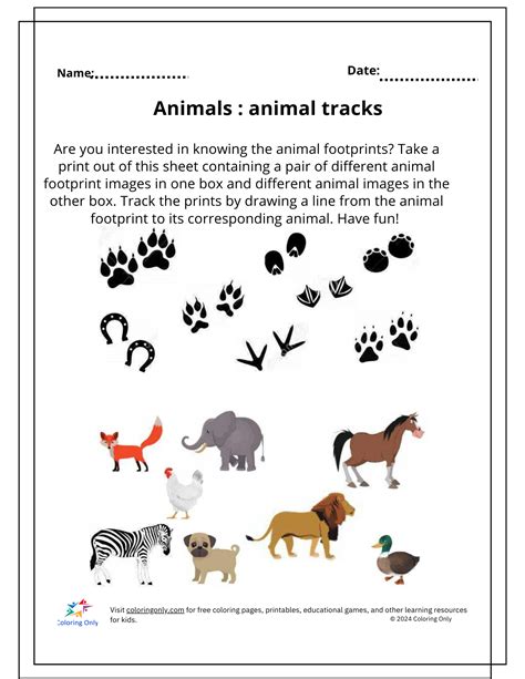 Animal Sports Worksheet 的图像结果