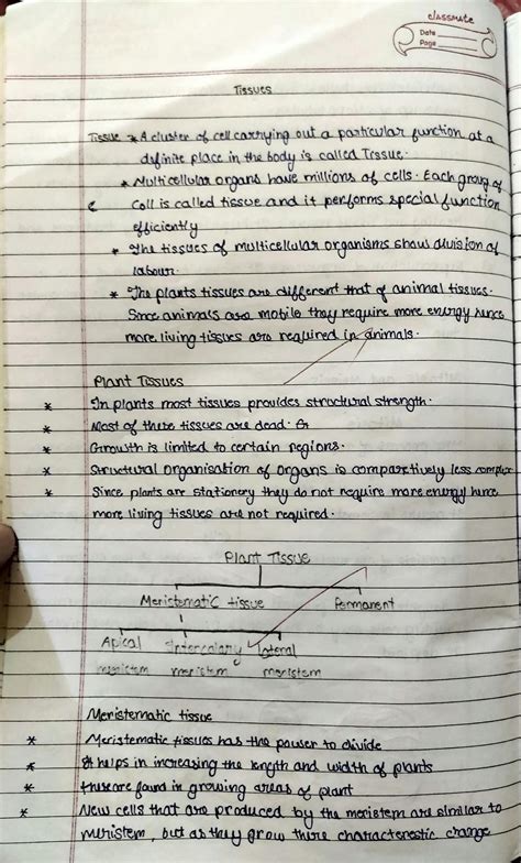 Image result for Tissues Class 9 Notes Byjus