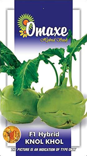 Knol Khol Hybrid Green Vegetable seeds Pack of 2 Kitchen Garden Packet ...