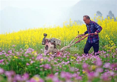 广西融水：春暖花开耕种忙-人民图片网