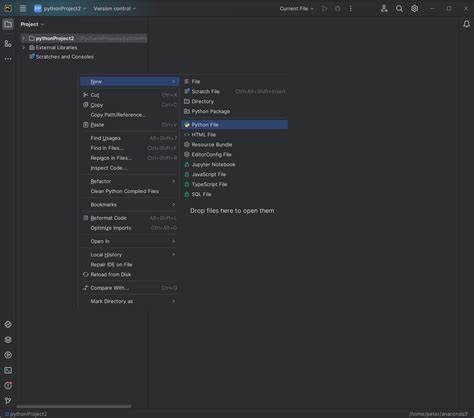 Image result for New Python File