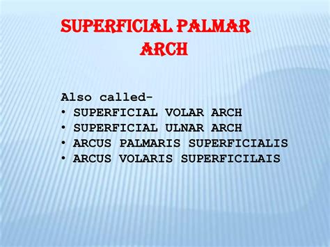 Palmar arterial arches | PPTX