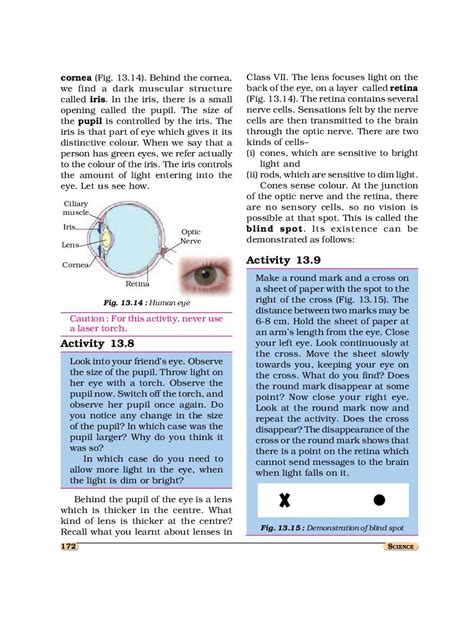 Image result for NCERT Class 8th Science Book PDF