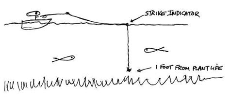 Image result for Micro Leech Fly Pattern