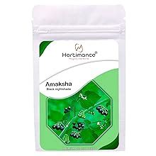 Hortimance Amaksha Black night shade seeds, solanum nigrum seeds, 10 ...
