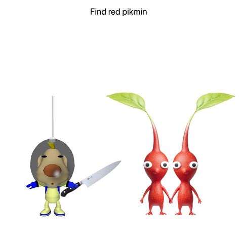 Chef Louie. Recipe 2: Red pikmin soup : r/Pikmin