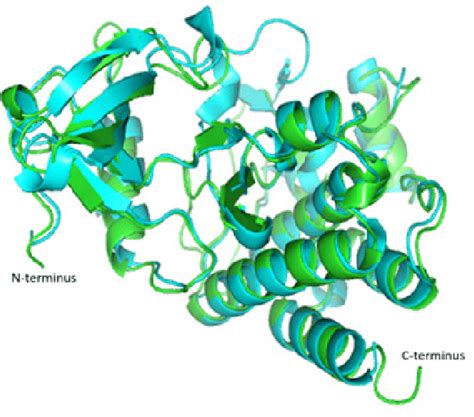 PyMOL Structure Alignment 的图像结果