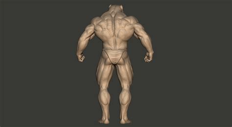 Image result for Bodybuilder Exotic