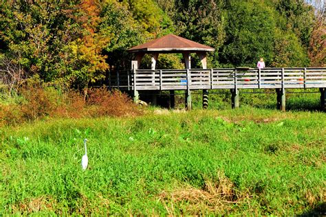 Lake Lotus Park: Nature Trails, Boardwalks & Family Fun