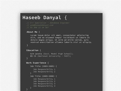 Programmer Resume 的图像结果