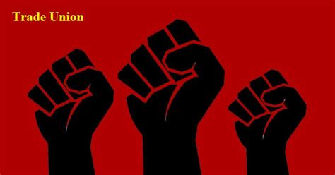 Trade Union 的图像结果