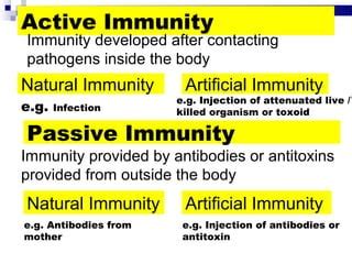 Image result for EPI Program MDC