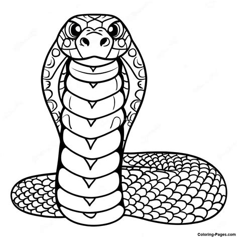 Rezultat imagine pentru Wild Docmntary Snake Python's Kaa