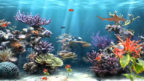 How Fish Move In Water: The Science Behind Their Movement