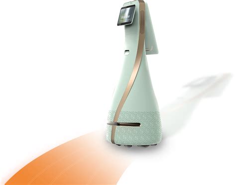 Image result for Robot Butler Assistant