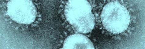 Coronavirus update: India has lost more than 3,000 lives