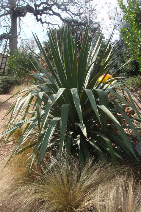 "Two and Two are Four" - Leveridge Landscape Design