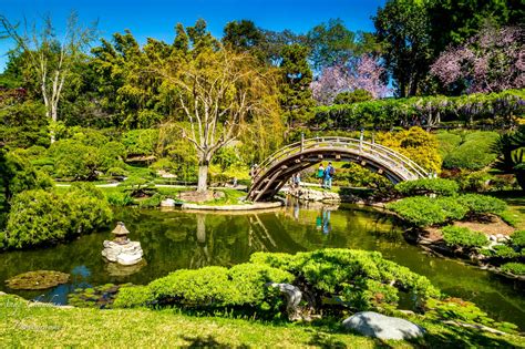 Huntington Library, Art Collections & Botanical Gardens | Los Angeles, USA | Sights - Lonely Planet