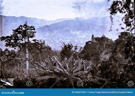 Wet Plate Collodion Vintage Image of Hisotrical Process of Photography ...