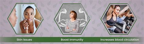 Buy NISARG ORGANIC FARM Neem Leaf Powder Organic Natural Traditional ...