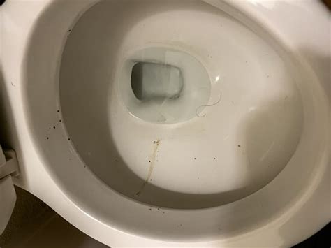 Exploding Diarrhea in Leggings 的图像结果