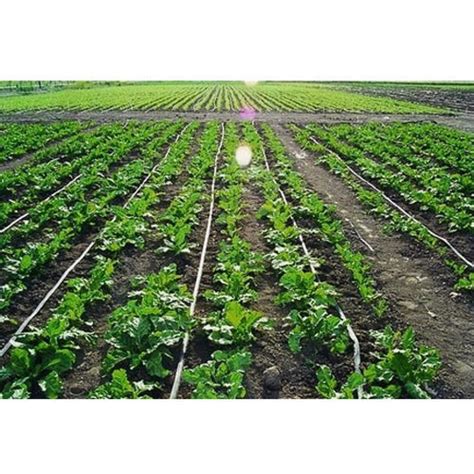 400 Plants Green Vegetable Drip irrigation package - Drip Irrigation BD Ltd. (DIBL)