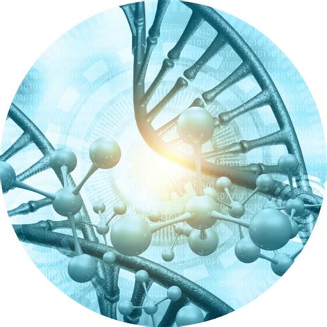 Bio Channel 的图像结果