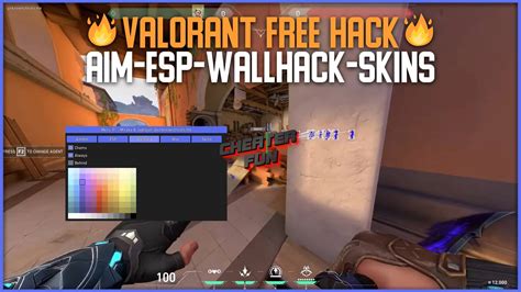 Valorant Cheats Free Download