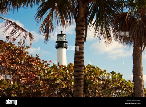 Image result for Key Biscayne Lighthouse Night