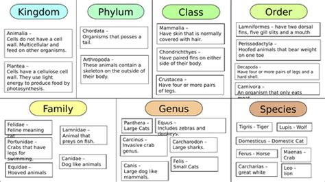 Image result for Classification Systems GCSE