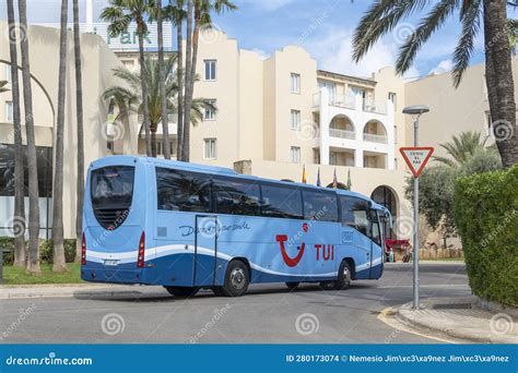 Image result for Tui Local Bus
