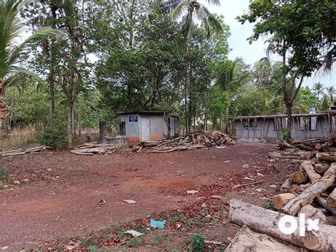 Square Plot,Bus route road side - Lands & Plots - 1767639389