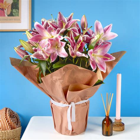 Oriental Lily Care Guide | Flying Flowers