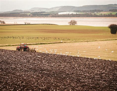 Landwirte hoffen auf Kälte: Weniger Frosttage gefährden Vernalisation ...