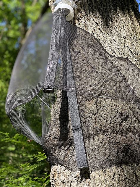 Lantern Fly Traps with Netting 的图像结果