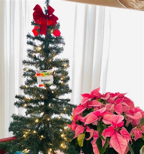 Given-Dawson-Paisley Funeral Home | Coshocton OH