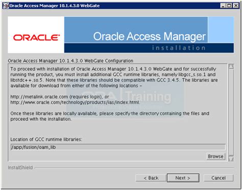 OAM Oracle 的图像结果