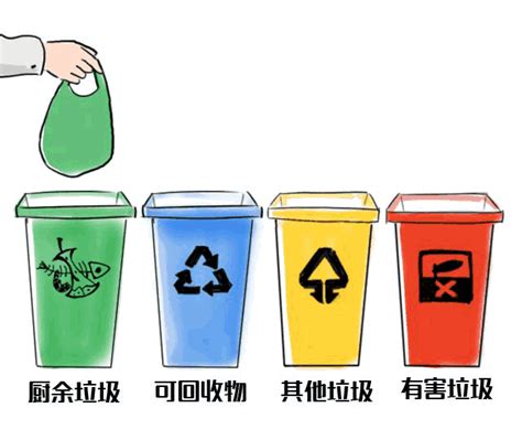 垃圾分类“全面强制”时代！必须交售废品回收点！—猫先生