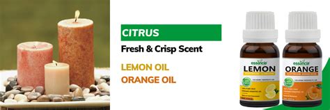 Complete Candle Making Oils – Essancia®