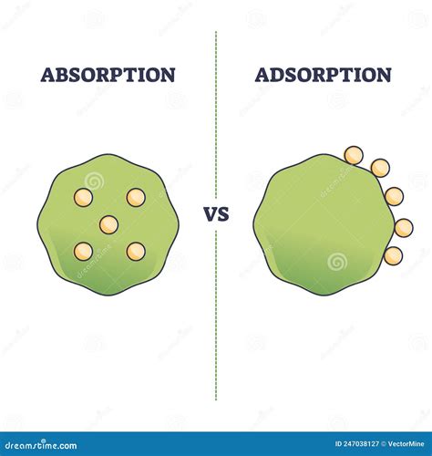 Absorption Vs Adsorption Differences On Molecular Surface Outline ...