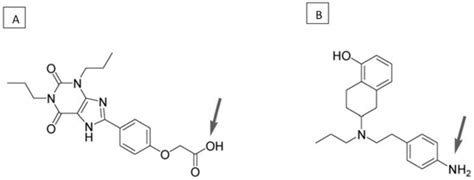 Allosteric Interactions between Adenosine A2A and Dopamine D2 Receptors ...